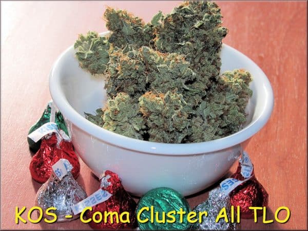 KOS - Coma Cluster F1 - Image 11