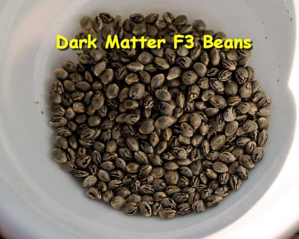 KOS - Dark Matter F3 - Image 7